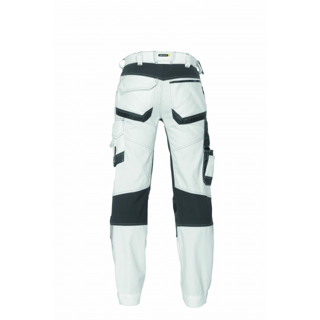 DASSY® Dynax Painters 2